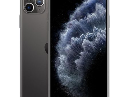 iPhone 11 Pro Max 64 Go - Gris Sidéral - Débloqué on Sale