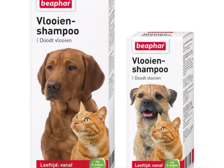 Vlooien shampoo Vlooien hond kat Online Sale