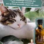 Kattenbakvulling Natural Wellness Meadow Breeze Online Hot Sale