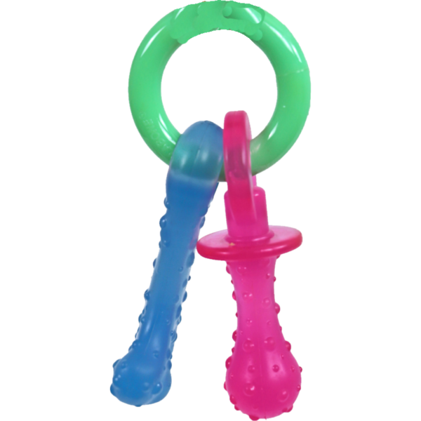 Nylabone Puppy Chew Teething Key Sale