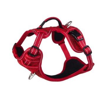 Rogz Dogz Nitelife Explore Tuigen Rood For Discount