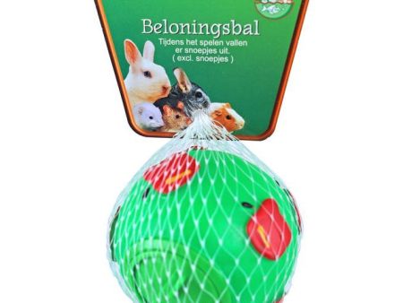 Konijnen  Cavia belonginsbal on Sale