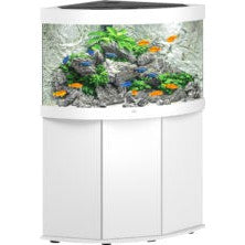 Aquarium Juwel aquarium Trigon 190 LED met filter, wit Fashion