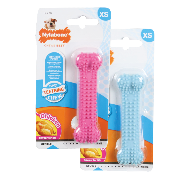 Nylabone Puppy Dental Bone XS Kip Supply