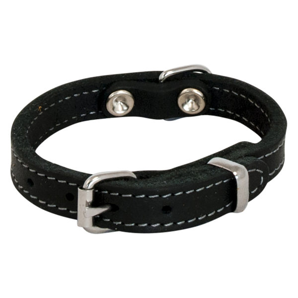 Jack and Vanilla vetleder Halsband smal 12mm x 30cm Online Hot Sale