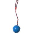 Rubber bal blauw met koord For Discount