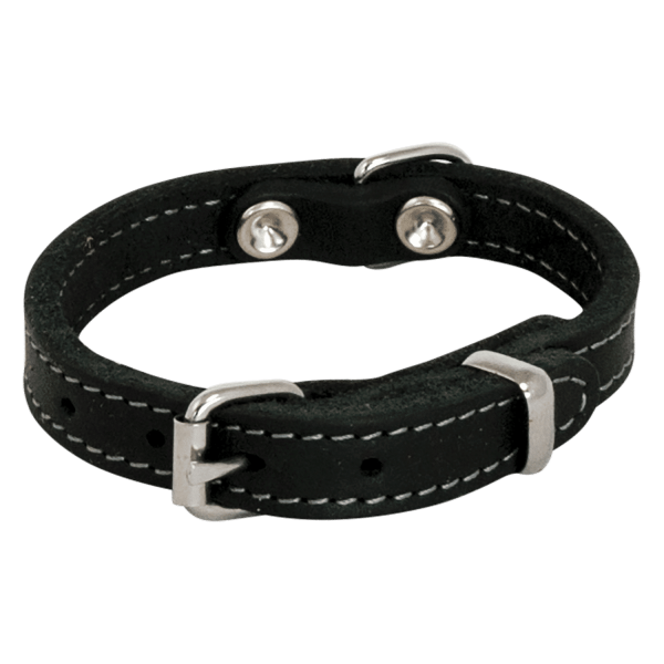 Jack and Vanilla vetleder Halsband smal 16mm x 40cm Online Hot Sale